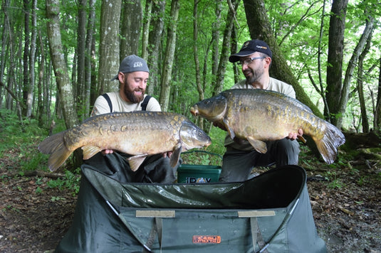 Ib Carptrack Liquid Amino
