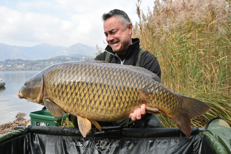 Carica immagine in Galleria Viewer, Ib Carptrack Scopana-Love Boilies
