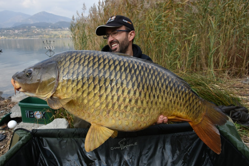 Carica immagine in Galleria Viewer, Ib Carptrack Scopana-Love Boilies
