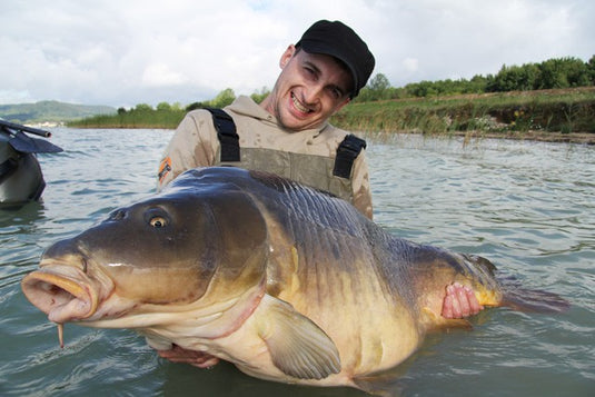 Ib Carptrack Amino Gel Elite Strawberry - 100gr