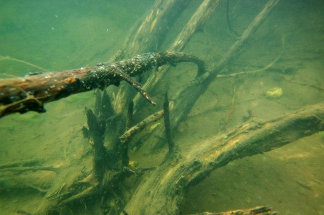 Carica immagine in Galleria Viewer, Korda Arma-Kord Sinking
