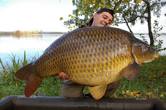 Ib Carptrack Elite Strawberry Boilie
