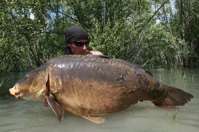Carica immagine in Galleria Viewer, Ib Carptrack Monster/Liver Boilie
