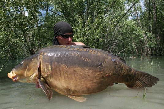 Ib Carptrack Monster/Liver Boilie