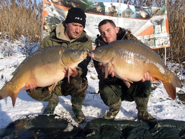 Carica immagine in Galleria Viewer, Ib Carptrack Monster/Liver Mix Acque Fredde (Cold Water)
