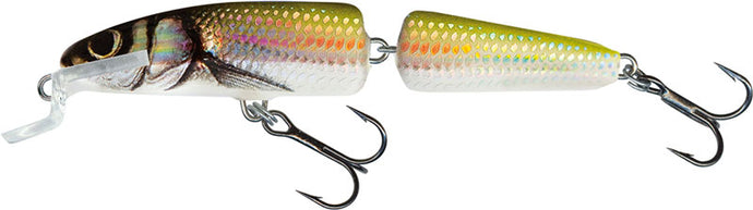Salmo Fanatic Floating 7cm