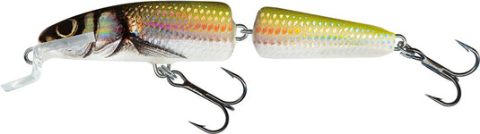 Salmo Fanatic Floating 7cm
