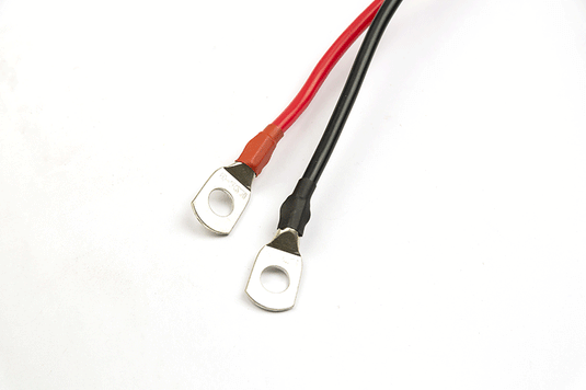 Fox 80lb Brushless Motor 12v