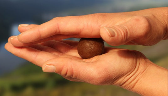 Ib Carptrack Liquid-Powder Paste Mkii - Crawfish - 180 G