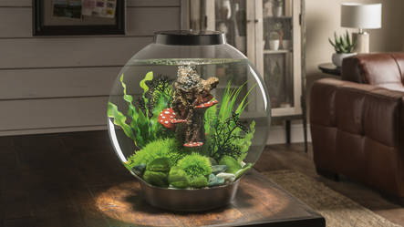 biOrb Acquario CLASSIC 15 MCR Bianco