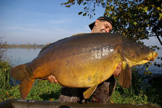 Ib Carptrack Elite Strawberry Boilie