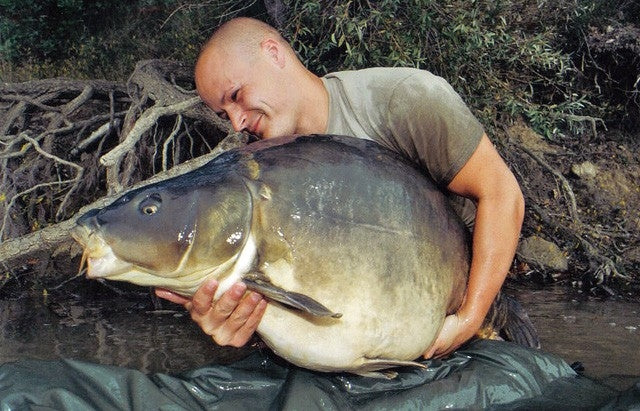 Carica immagine in Galleria Viewer, Ib Carptrack Monster/Liver Boilie
