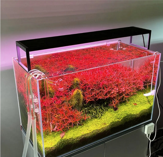 Carica immagine in Galleria Viewer, Chihiros WRGB II SLIM EDITION 60
