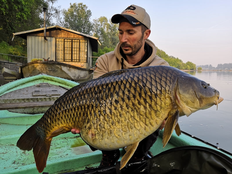Carica immagine in Galleria Viewer, Ib Carptrack Elite Mix
