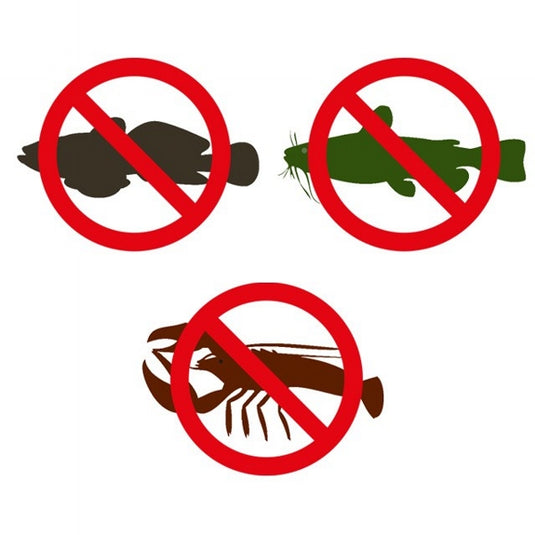 Ib Carptrack Rambo Mega.Krill