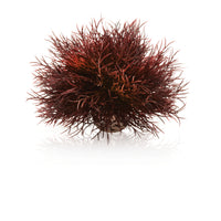 BiOrb Crimson Sea Lily Aquarium Decoration