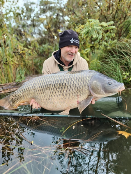 Ib Carptrack Monster/Liver Mix