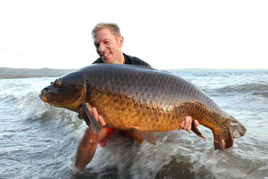 Carp'r'us Strip-X