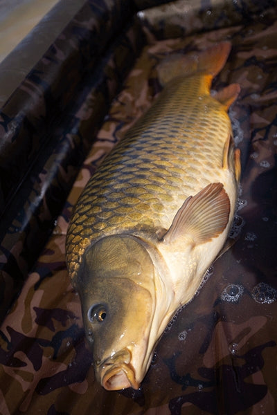 Carica immagine in Galleria Viewer, Fox Carpmaster Air Mat
