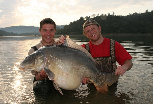 Ib Carptrack Banana Boilie