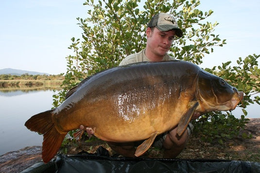 Ib Carptrack Elite Strawberry Boilie