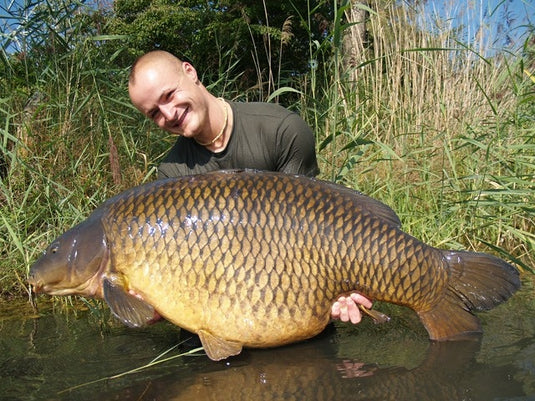Ib Carptrack Big Fish Boilie
