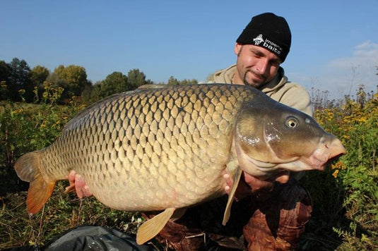 Ib Carptrack Glm Full-Fat