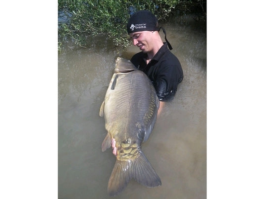 Ib Carptrack Monsters Paradise Mix
