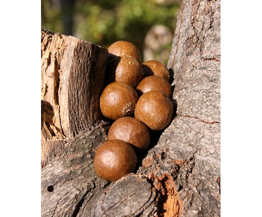 Ib Carptrack Powder
