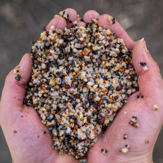 Kevin Nash Small Seed Mix