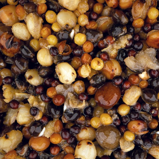 Kevin Nash Small Seed Mix