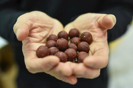 CARP FACTOR SPEEDBALL 20MM 5KG