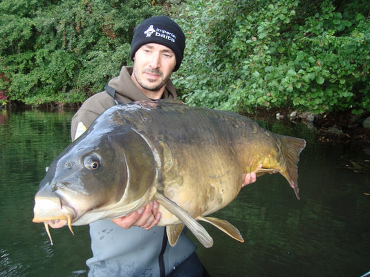 Ib Carptrack Monster/Liver Mix