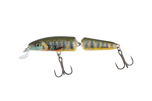 Salmo Fanatic Floating 7cm