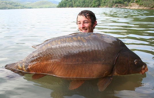 Ib Carptrack Banana Boilie