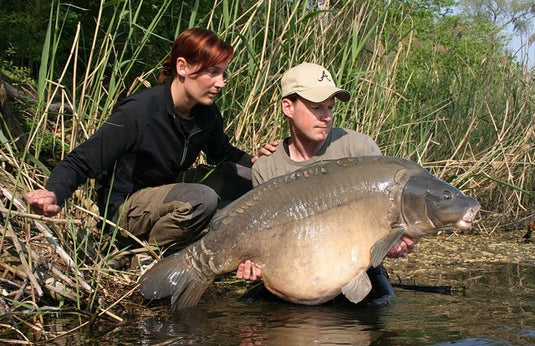 Ib Carptrack Big Fish Boilie