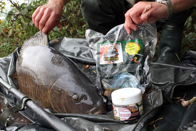 Carica immagine in Galleria Viewer, Ib Carptrack Monsters Paradise Boilie
