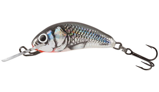 Salmo Hornet Sinking 3.5cm