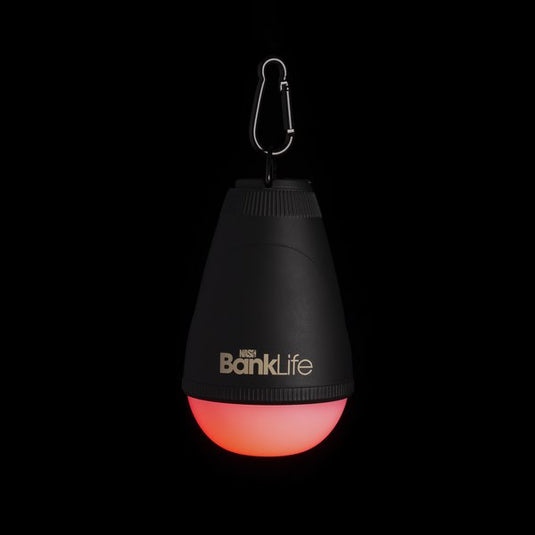 Kevin Nash Powerbanx Dome Lite