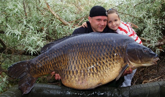 Ib Carptrack Elite Boilie