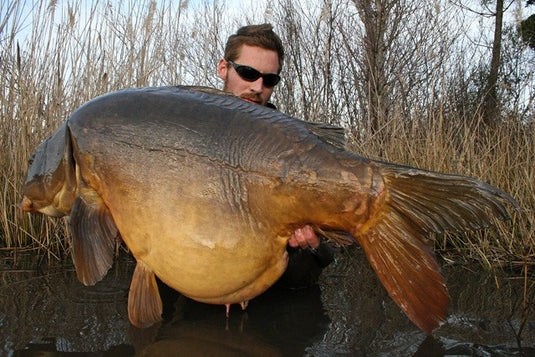 Ib Carptrack Big Fish Boilie