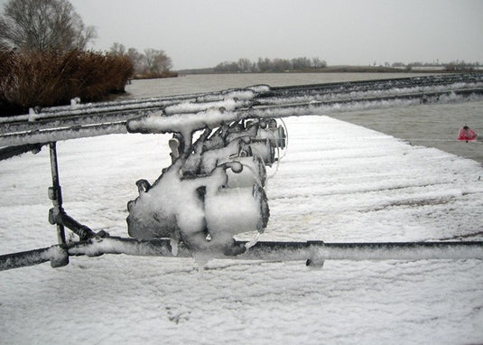 Ib Carptrack Monsters Paradise Boilie Acque Fredde (Cold Water)
