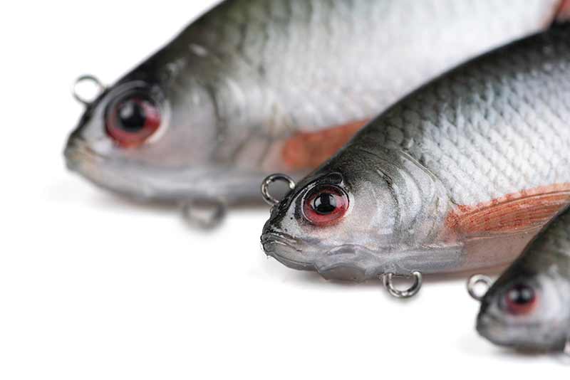 Carica immagine in Galleria Viewer, Fox Rage Ultra-Realistic Roach Replicant
