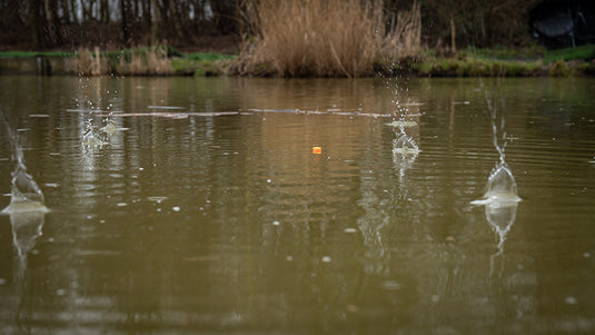 Fox Matrix Pellet Waggler