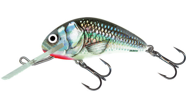 Carica immagine in Galleria Viewer, Salmo Hornet Sinking - 6cm
