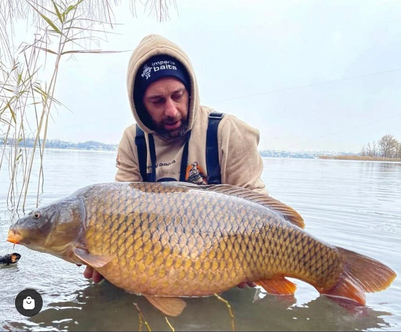 Carica immagine in Galleria Viewer, Felpa con Cappuccio Imperial Baits "The Art of Bait" - Abbigliamento Carp Fishing
