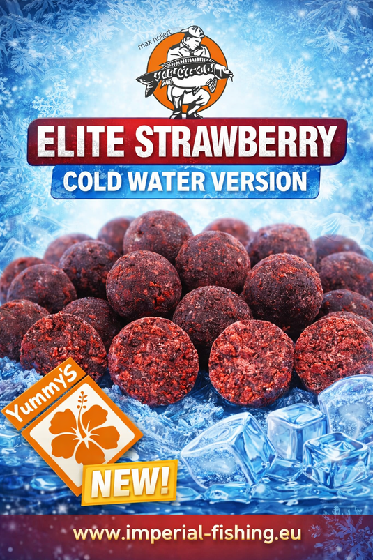 IB Carptrack Elite Strawberry Boilie Cold Water