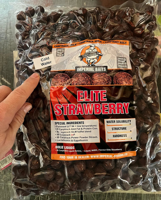 IB Carptrack Elite Strawberry Boilie Cold Water
