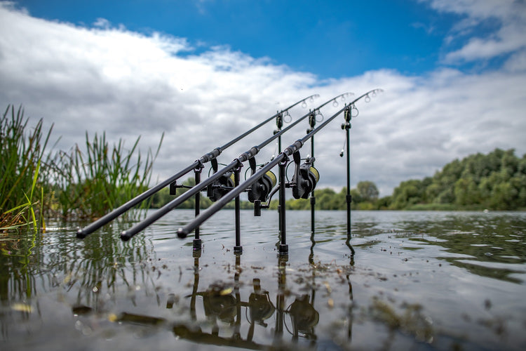 Carpfishing e Acquariologia: la nostra passione, dal lago al tuo salotto