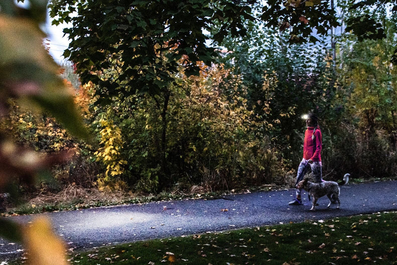 Load image into Gallery viewer, Led Lenser Lampada frontale HF4R Core
